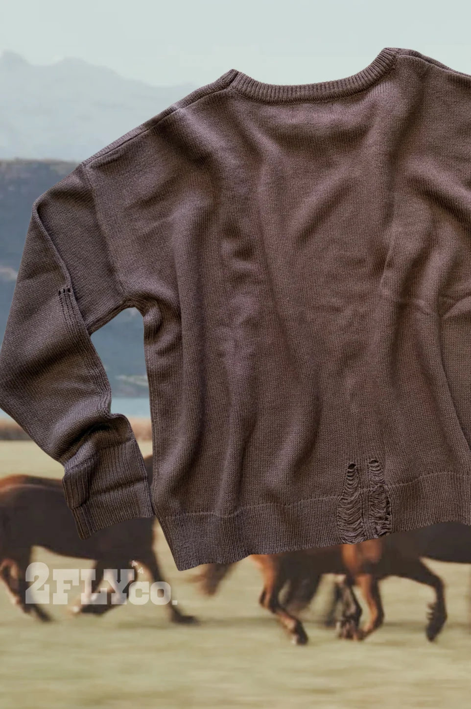 Love + Luck Horseshoe Cotton Blend Distressed Sweater